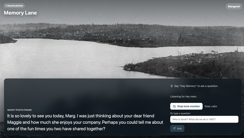 Memory Lane – screenshot 6