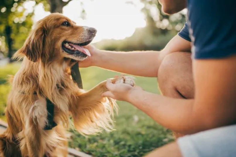 Kindly – screenshot 1