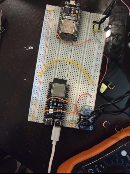 Phytoclone – screenshot 1