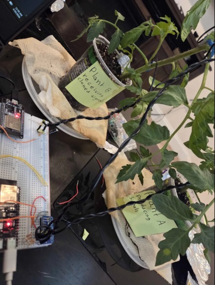 Phytoclone – screenshot 2