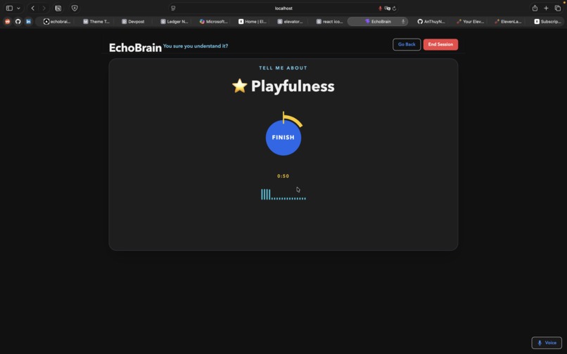 EchoBrain – screenshot 3