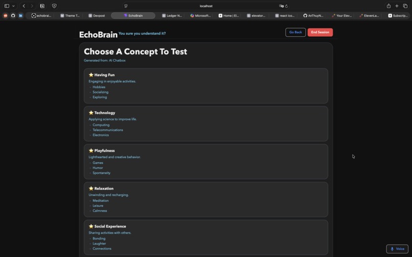 EchoBrain – screenshot 2