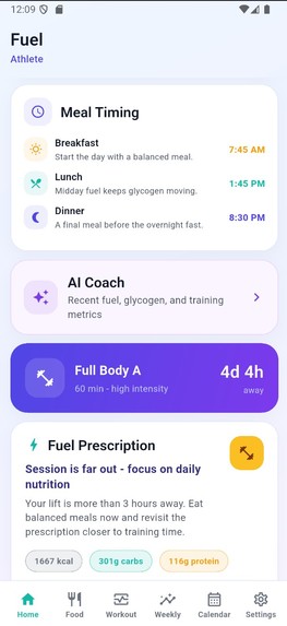 Fuel – screenshot 4