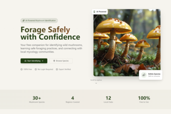 Mushroom Foraging Guide