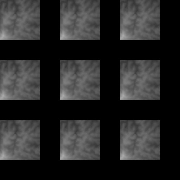 Globe Gen – screenshot 2