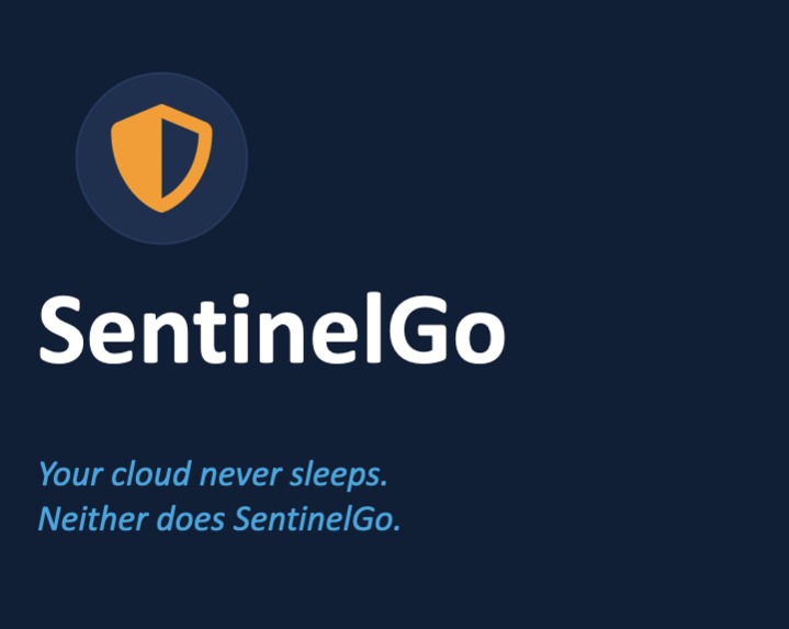 SentinelGo – screenshot 1