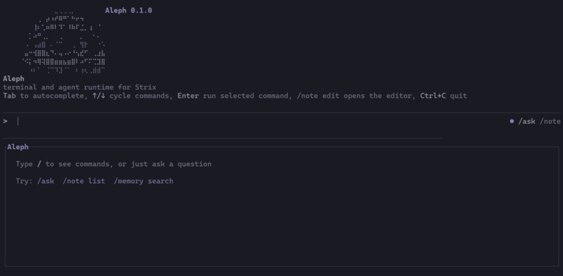 Aleph – screenshot 1