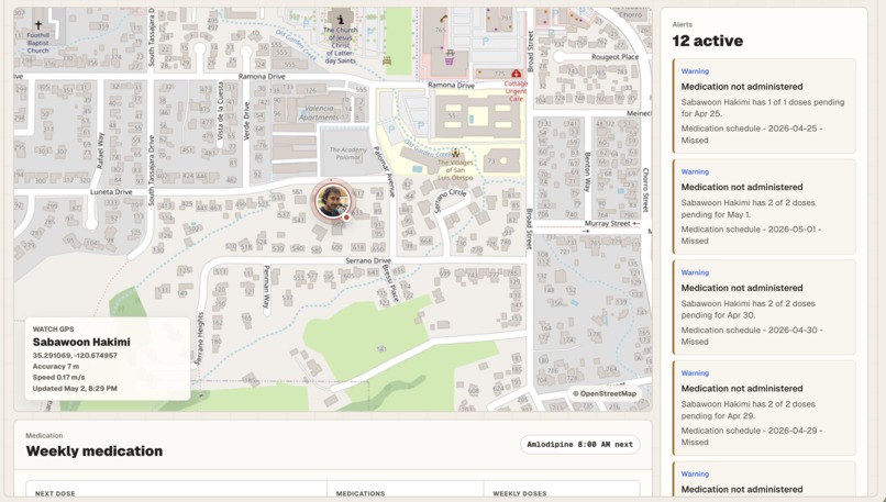 Elsa – screenshot 7