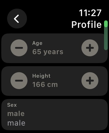 Elsa – screenshot 16