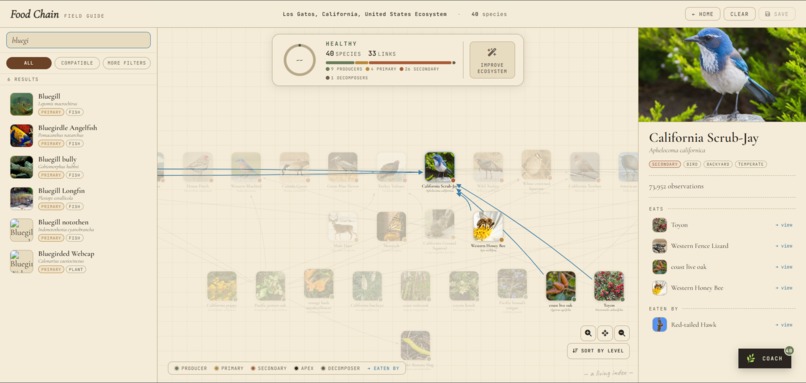 EcoSys – screenshot 3