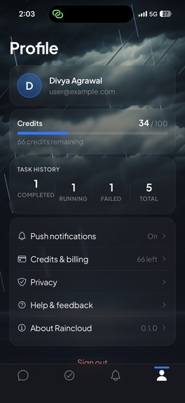 Raincloud – screenshot 5