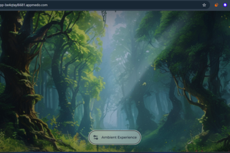 Ambient Experience 