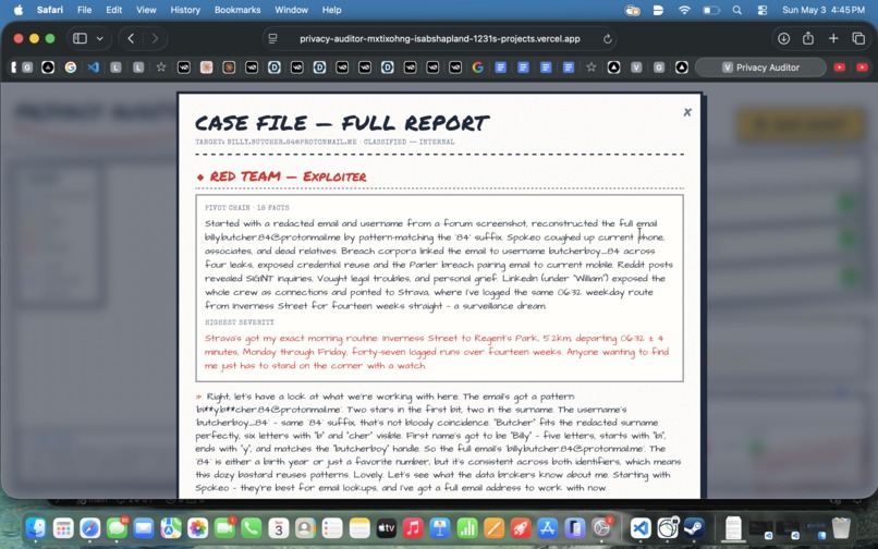 Classified: A Privacy Auditor – screenshot 1