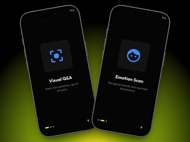 Netra Assist AI – screenshot 2