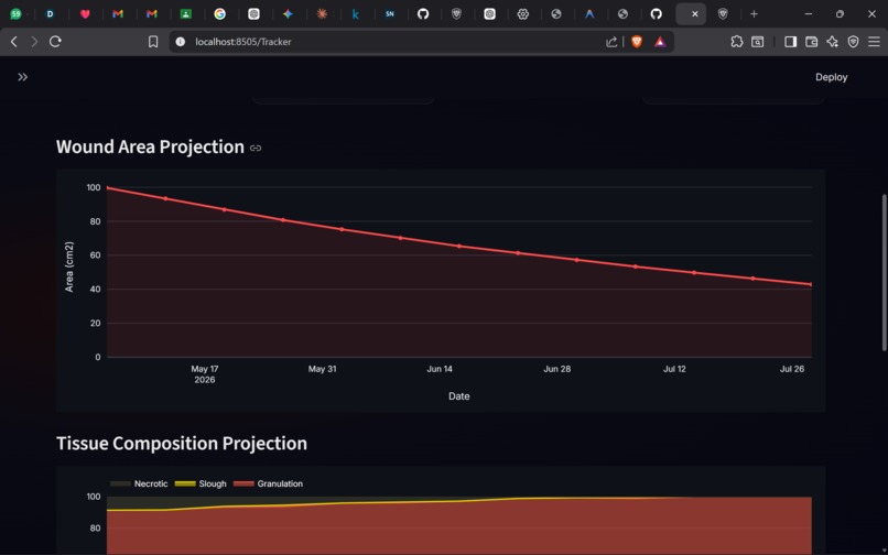 WoundLens – screenshot 2