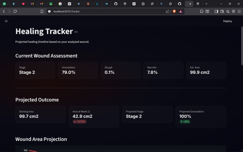WoundLens – screenshot 4