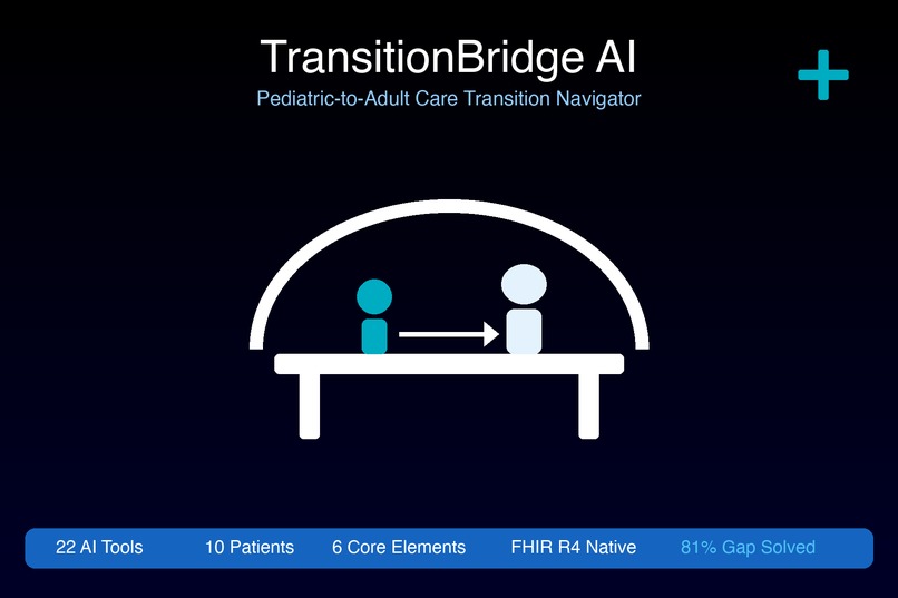 TansitionBridge AI – screenshot 1