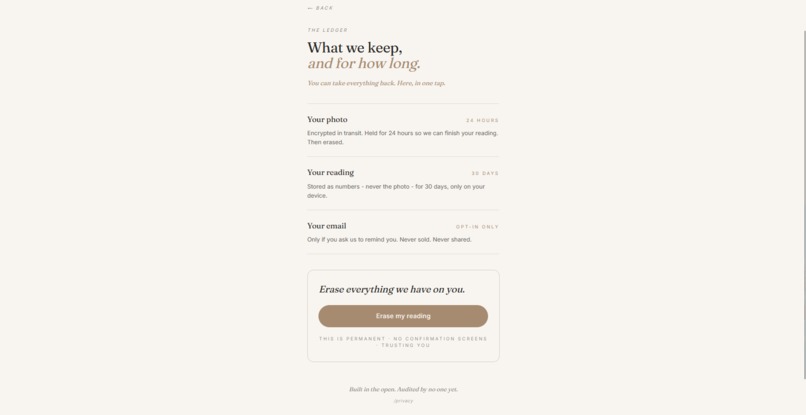 Future You Mirror – screenshot 3