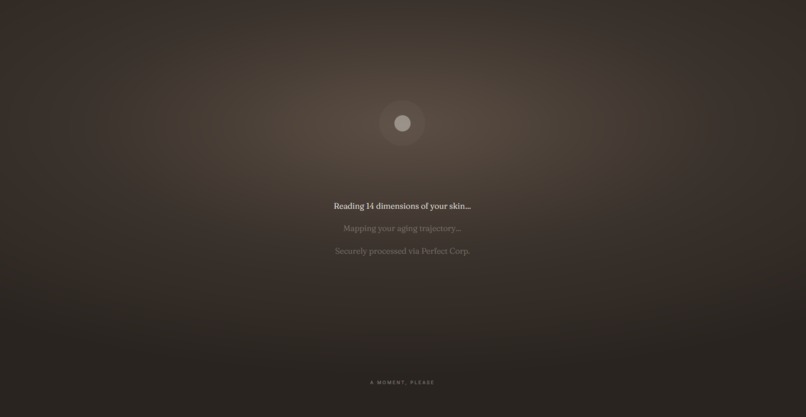 Future You Mirror – screenshot 4