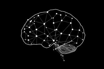 Neurals Protocol
