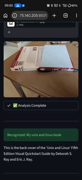 v1-streamlit-prototype-VisionVault – screenshot 2