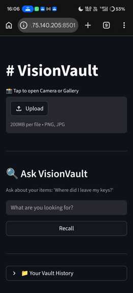 v1-streamlit-prototype-VisionVault – screenshot 1