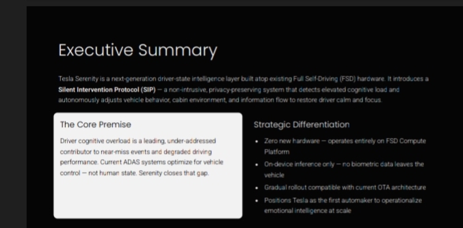 Tesla Serenity: AI Privacy Framework – screenshot 3