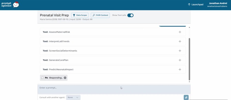MaternalGuard: MCP for Maternal Risk on SHARP+FHIR – screenshot 1