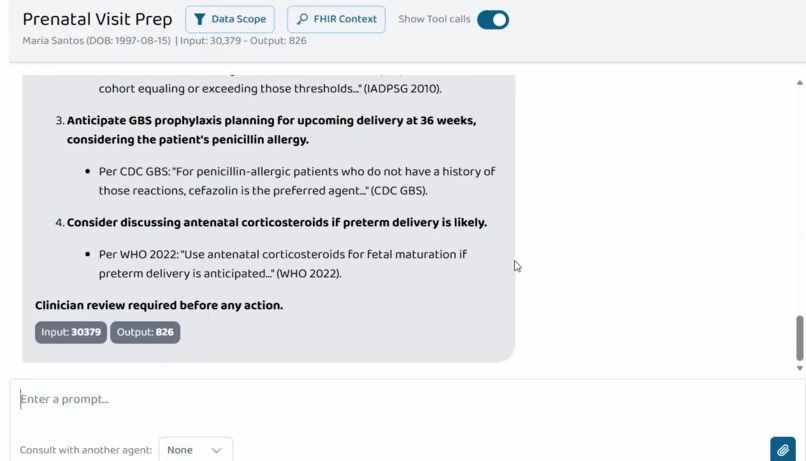 MaternalGuard: MCP for Maternal Risk on SHARP+FHIR – screenshot 4