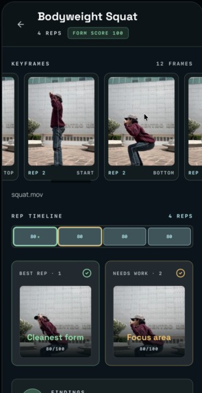 RepLab – screenshot 4