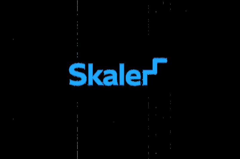 Skaler - Make Volunteering Easy – screenshot 1