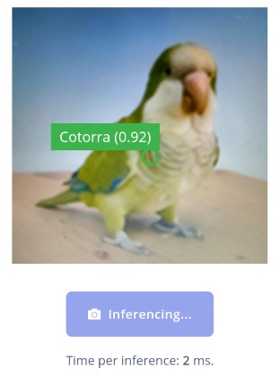 Project Garuda – screenshot 1