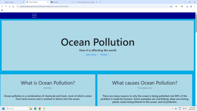 Ocean Pollution: The Basic View – screenshot 1