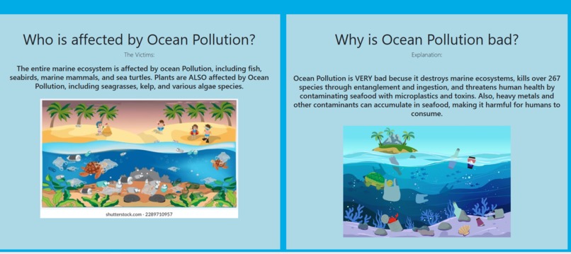 Ocean Pollution: The Basic View – screenshot 3