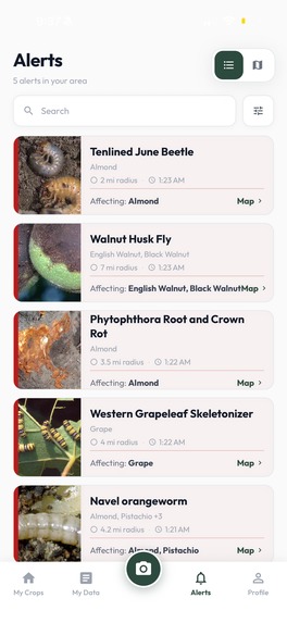 Anticipate – screenshot 5