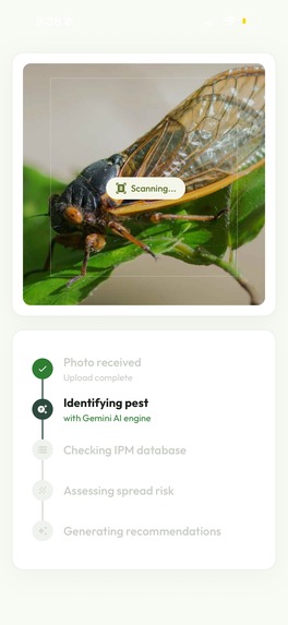 Anticipate – screenshot 2