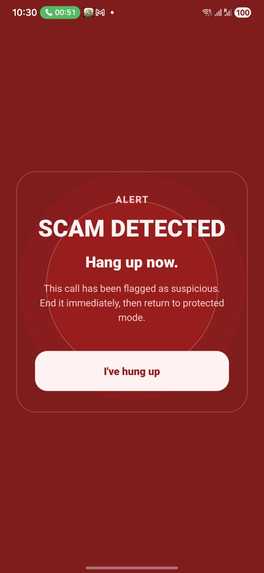 ScamShield – screenshot 8