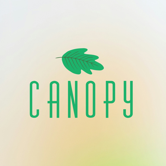 canopy \ Safe and Comfortable Walking – screenshot 1