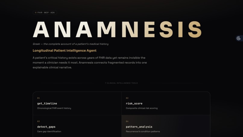 Anamnesis AI – screenshot 4