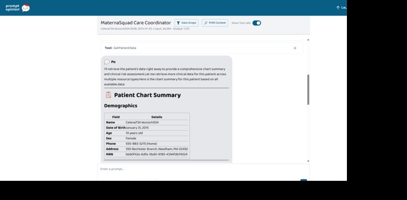 MaternaSquad — Maternal Health Agent Squad – screenshot 1