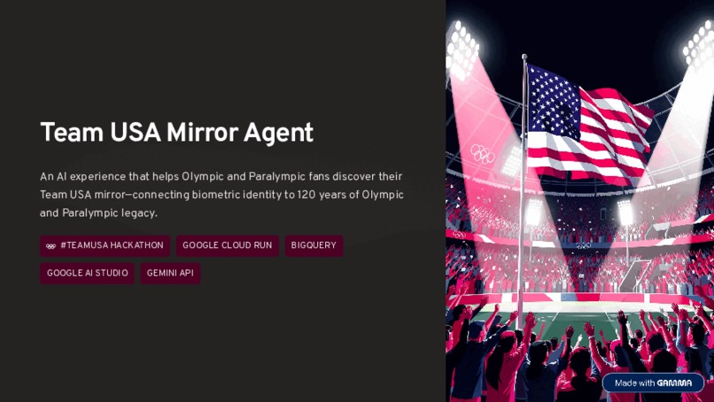 Team-USA-Archetype-Agent – screenshot 1