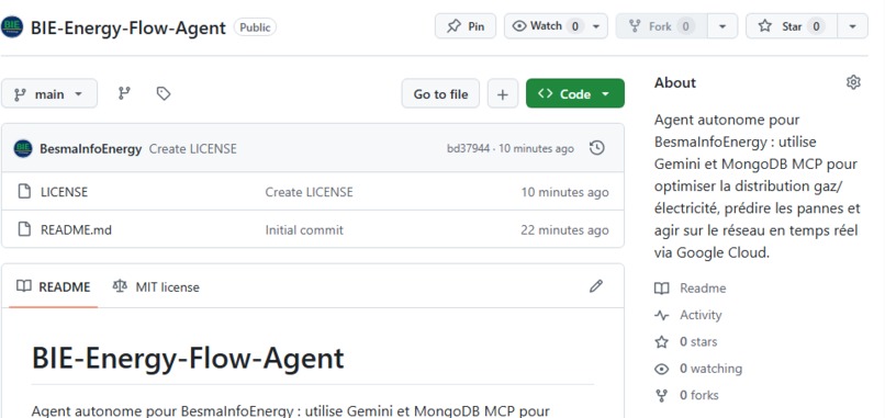 BIE Energy-Flow Agent – screenshot 1
