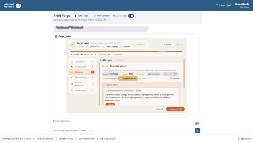FHIR Forge – screenshot 3