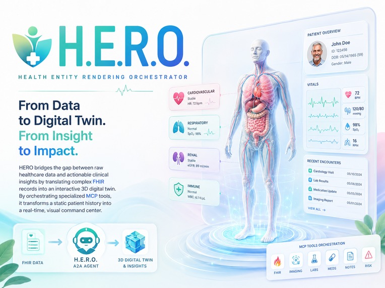 H.E.R.O. — Health Entity Rendering Orchestrator – screenshot 1