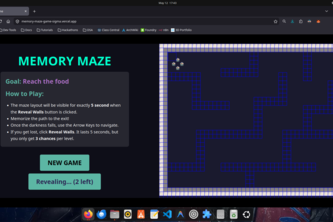 Memory maze