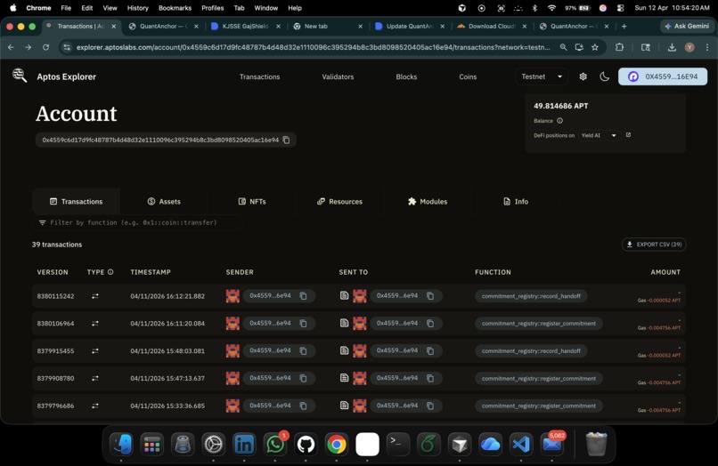 QuantAnchor – screenshot 2