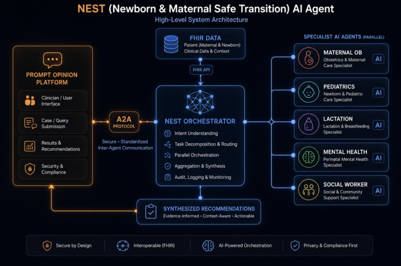 NEST: Newborn & Maternal Safe Transition – screenshot 1