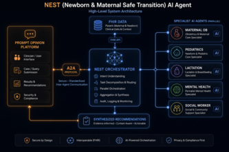 NEST: Newborn & Maternal Safe Transition