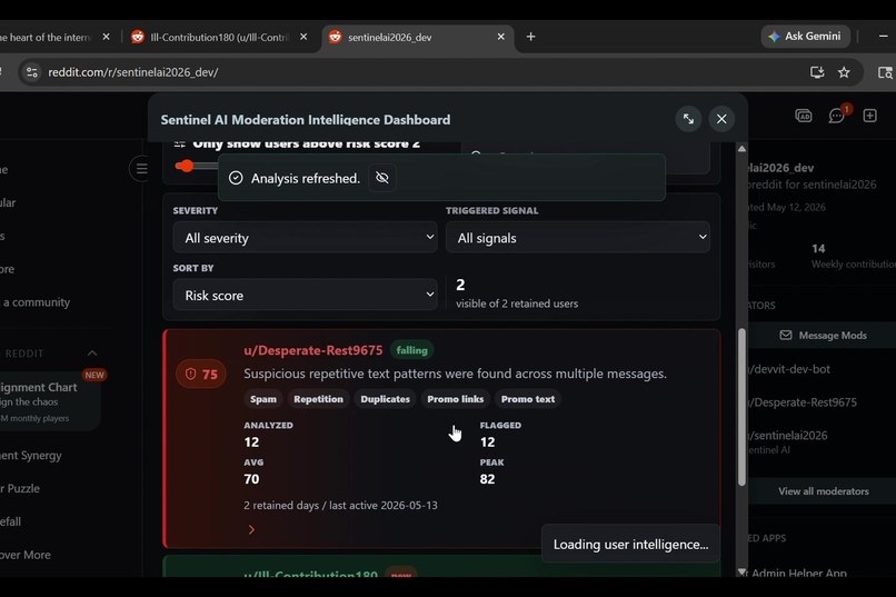Sentinel AI – screenshot 3