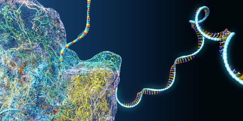 ‎Vision-Link AI: Autonomous CRISPR Genomic Intelligence – screenshot 2